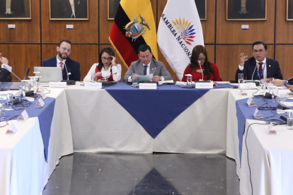 Gonzalo Albán, vocal del Consejo de Participación, enfrentó al asambleísta oficialista, Keevin Gallardo, en el juicio político que el legislador planteó.