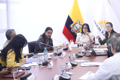 La asambleísta correísta Viviana Veloz preside la Comisión de Niñez y Adolescencia.