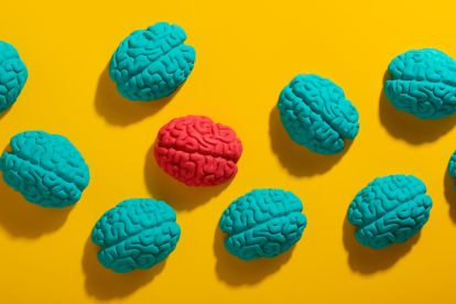 Colesterol y función cerebral: una guía completa. ¿Afecta el colesterol de la dieta al cerebro?