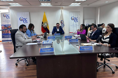 La Corte se pronunció sobre la propuesta de eliminar el Consejo de Participación Ciudadana y Control Social (CPCCS).