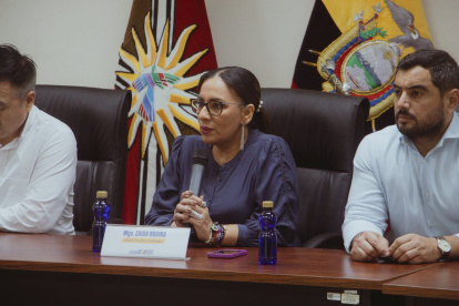 La ministra de Gobierno, Zaida Rovira, sostuvo que hizo falta sentido común al análisis de la Corte Constitucional.