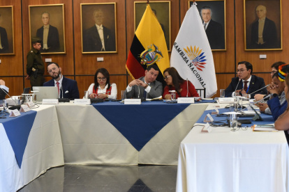 La Comisión de Fiscalización sustancia el enjuiciamiento político en contra del vocal del CPCCS, Gonzalo Albán.