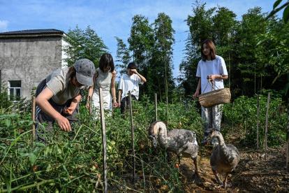 Chen Yani (der.), recoge chiles con amigas e invitadas en una granja de un espacio de convivencia femenina llamado "El Espacio Imaginativo de Keke" en Hangzhou, provincia de Zhejiang (China).