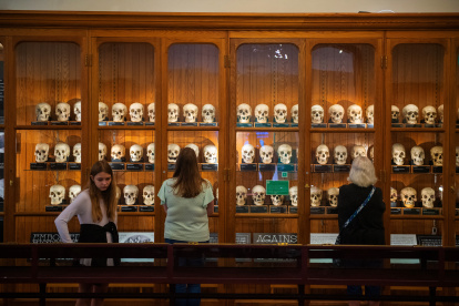 Museo.Los visitantes examinan una exhibición de cráneos de la Colección Josef Hyrtl en el Museo Mütter.