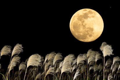 Observar la Luna de cosecha desde casa o el campo, una actividad astronómica sencilla y accesible para todos.