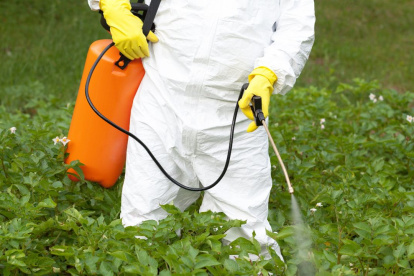 Los científicos proyectan la creación de bioplaguicidas y bioinsumos, a la par de planes de conservación de la biodiversidad.