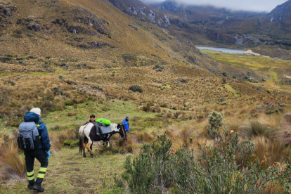 Dos personas permanecen extraviadas en el Parque Nacional Cajas y organismos de socorro se mantienen en su búsqueda.
