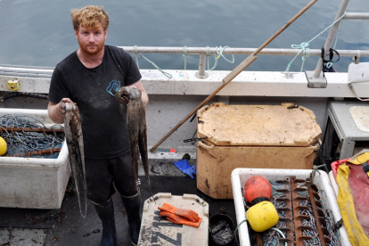 El pescador Chris Kelly, de 32 años, que utiliza redes para sus capturas, posa con un pulpo capturado a bordo de su barco "Shadow", en el suroeste de Inglaterra.