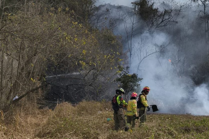 Los bomberos de Guayaquil combaten el incendio forestal registrado en el bosque protector de cerro El Paraíso.