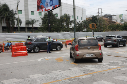 El colectivo Acción Los Ceibos denuncia que decenas de árboles están sin mantenimiento desde que se colocó el cerramiento metálico en la avenida del Bombero.