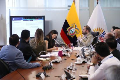 El asambleísta oficialista Diego Franco preside la Comisión de Desarrollo Económico ante la licencia de Valentina Centeno.