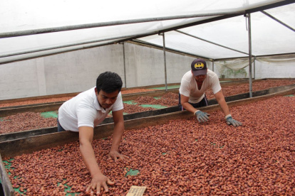 La bonificación se entregará por una sola vez.