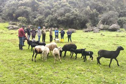 Las ventas crecieron un 7,4% hasta julio de este año y cuatro sectores económicos destacan