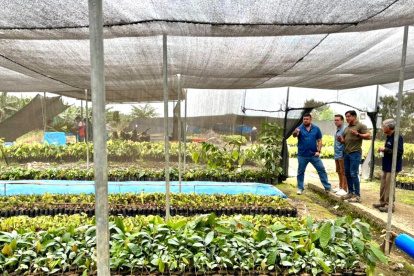 Banco Central de Ecuador estima crecimiento del PIB en un 3,8% en 2025: ¿Qué implica?