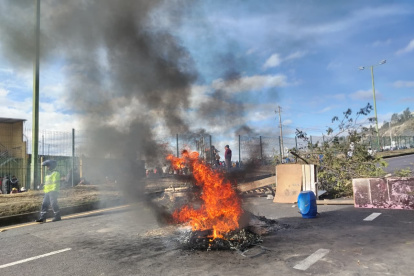 Estado de excepción en siete provincias de Ecuador busca controlar violencia sin prohibir protestas pacíficas.