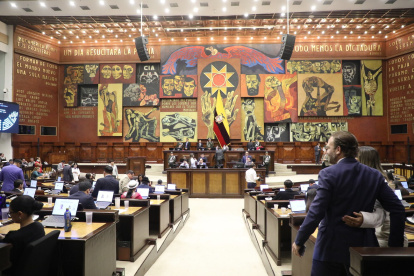 El Pleno de la Asamblea tramitó en primer debate la Ley urgente del BIESS.
