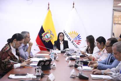 Legisladores de la Comisión de la Niñez, Adolescencia y Familia durante la sesión sobre muertes neonatales