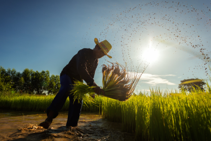 ​Los pagos del Bono Raíces en Ecuador se acreditan desde el 15 de septiembre de 2025 vía BanEcuador.