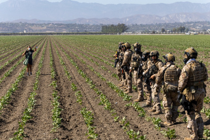 Una mujer levanta las manos mientras los oficiales de Aduanas y Protección Fronteriza extienden su línea de escaramuza hacia un campo de cultivo durante una redada de agentes federales, en Camarillo, California.