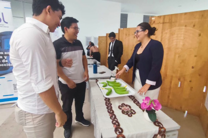 Desde soluciones sostenibles para el banano hasta aplicaciones de realidad virtual en salud, los proyectos de los politécnicos proponen alternativas prácticas a problemas actuales.