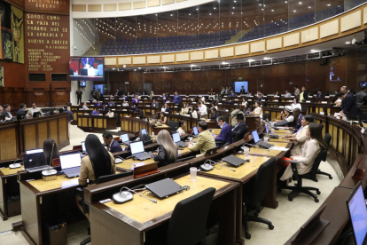 La Asamblea Constituyente tendrá un carácter temporal y estará encargada de redactar y aprobar el proyecto de una nueva Constitución.