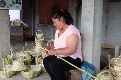 Artesanos. En el taller de San Miguelito, las manos artesanas convierten el carrizo en canastas, lámparas y floreros que viajan a diferentes partes del país.
AG-EXTERNO