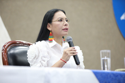 La presidenta del CNE, Diana Atamaint, en una sesión del Pleno del CNE.