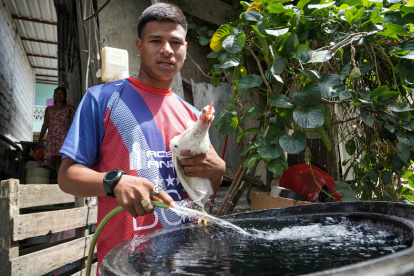Las familias de Magro y Lomas de Sargentillo estuvieron sin suministro tras el colapso del puente Gonzalo Icaza, afectando la vida cotidiana de cientos de vecinos.