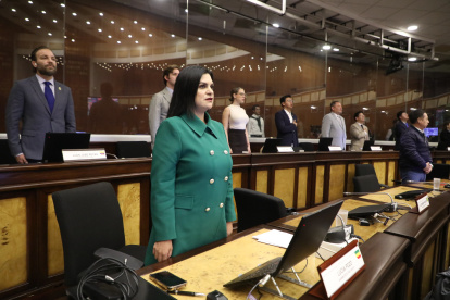 La asambleísta Lucía Pozo mocionó apoyar la convocatoria a una Asamblea Constituyente, pero no obtuvo los votos necesarios.