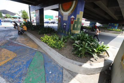 En puntos como los bajos del paso a desnivel, en Francisco de Orellana y Carlos Plaza Dañín, el Municipio de Guayaquil retiró rejas de las jardineras.