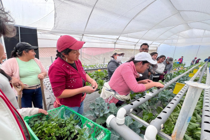 Propuestas de mejora al Bono Raíces: expertos opinan sobre su implementación.