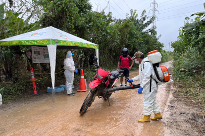 Motor. El sector bananero es el segundo pilar de las exportaciones del país. A julio de 2025, la industria facturó $ 2.549 millones.