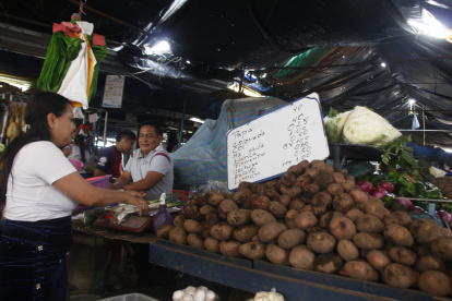 En Guayaquil la libra de papa está a 0,40 dólares cuando hace un mes daban cinco libras por 1 dólar.