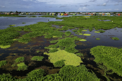 Vista aérea del pueblo de Nueva Venecia, en la Ciénaga Grande de Santa Marta, al norte de Colombia, el 6 de septiembre de 2025.