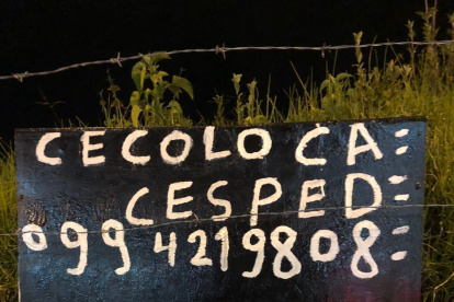 El certamen "Caza de erratas" se lleva a cabo anualmente desde 2012.