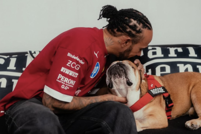 Lewis Hamilton compartió imágenes de Roscoe hospitalizado y pidió oraciones por su recuperación.