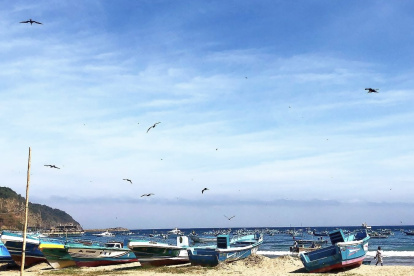 Desde el 5 de septiembre de 2025, en Puerto López se ha presentado un enjambre sísmico.