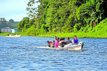 Oriente. Los bosques protegen a las comunidades de enfermedades.
