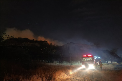 Los incendios forestales afectan a la fauna silvestre.