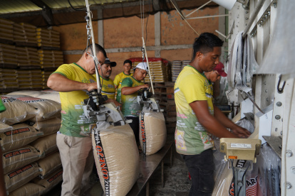. Trabajadores forman el saco de 100 libras del arroz.