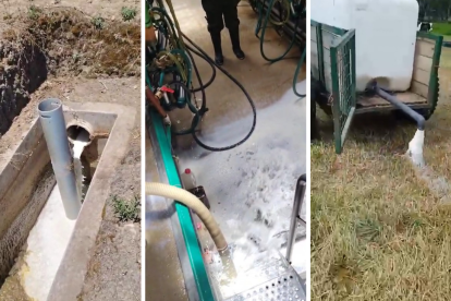 Productores botan la leche al no poder comercializarla por el paro.