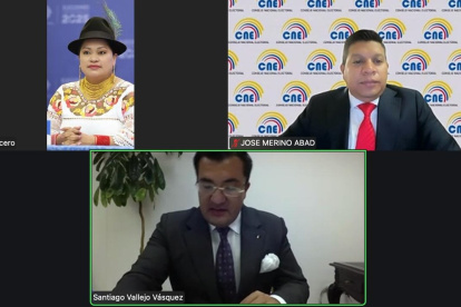 El Pleno del CNE aprobó los informes y calificó a 13 partidos y organizaciones sociales para participar en la campaña del referéndum.