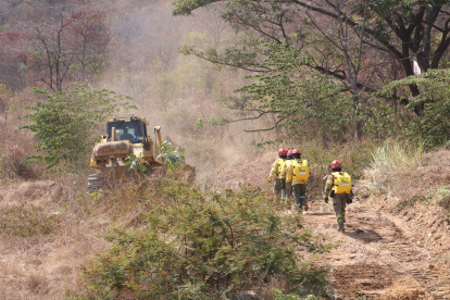 Un incendio forestal afectó doce hectáreas en cerro Colorado, zona protegida que se ubica en el noroeste de Guayaquil.