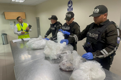 Policía interviene cargamento que escondía cangrejos rojos.