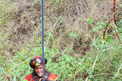 Garú, un perro labrador de 13 años de edad, se cayó por una quebrada y fue rescatado por personal de Bomberos Quito, en Tumbaco.