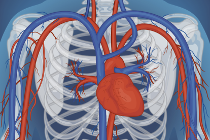 ¿Hinchazón en una pierna? ¿Heridas que no cicatrizan? Conoce los síntomas de alerta vascular