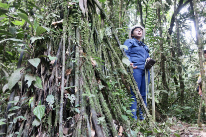 Expertos y científicos recomiendan que la agricultura vertical debería practicarse en espacios como el Parque Yasuní, situado en el oriente de Ecuador.