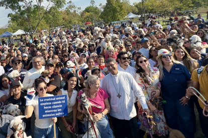 El cardenal Luis Gerardo Cabrera fue quien realizó la bendición principal con agua bendita a decenas de animales.