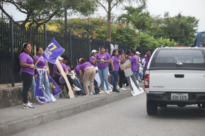 La campaña política para el plebiscito 2025 empezará el 1 de noviembre y durará 13 días, de acuerdo con el cronograma del Consejo Nacional Electoral.