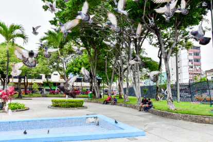 Un arquitecto propone convertir el parque en un espacio regulado y seguro donde vecinos y empresas puedan contactar mano de obra calificada.